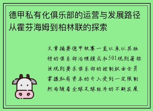 德甲私有化俱乐部的运营与发展路径从霍芬海姆到柏林联的探索